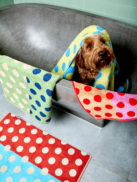 Dog peeking out from a colorful polka dot towel draped over a bathtub.